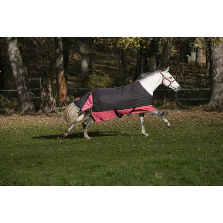 turnout rug with djustable thigh straps