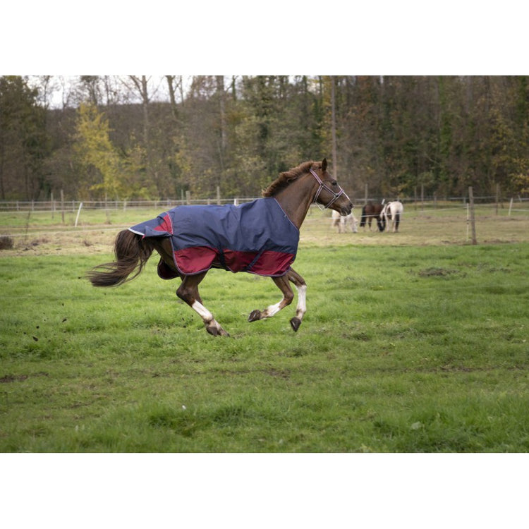 turnout rug with tail flap 