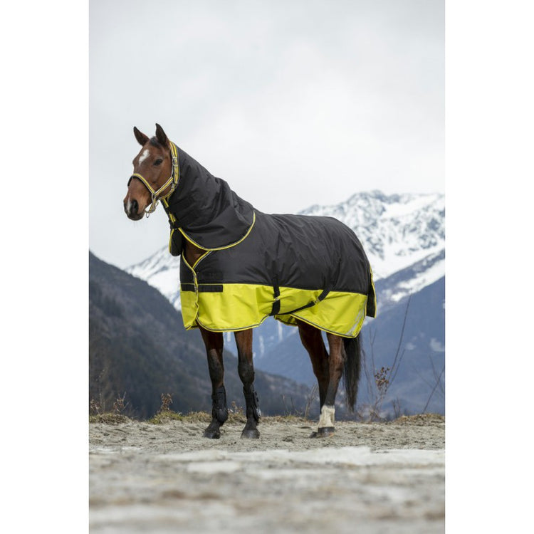turnout rug with reflective details