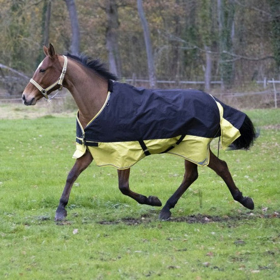 turnout rug with reflective piping