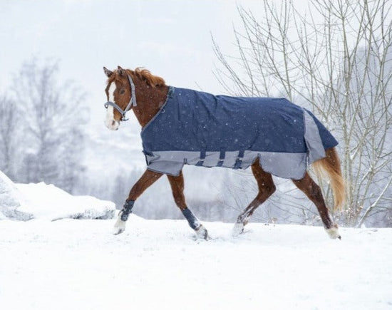winter turnout rug