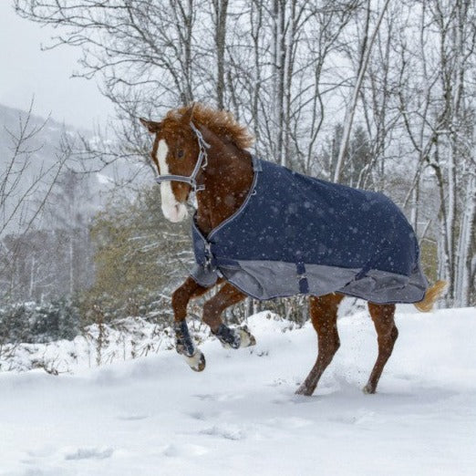 Winter outdoor rugs for horses