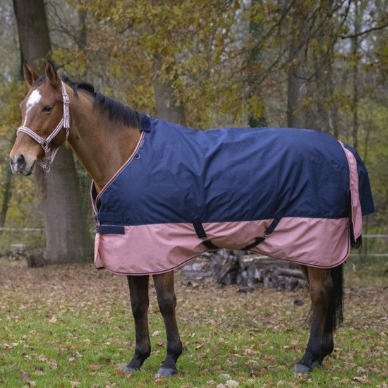Pink turnout rug for horses