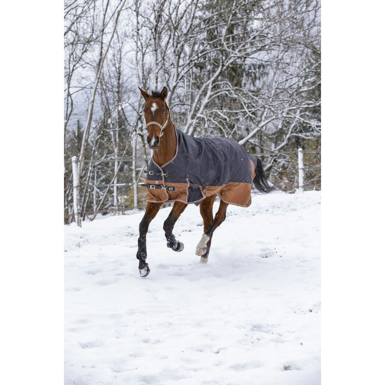 brown winter turnout rug with high neck