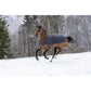 warm winter outdoor rug for horses