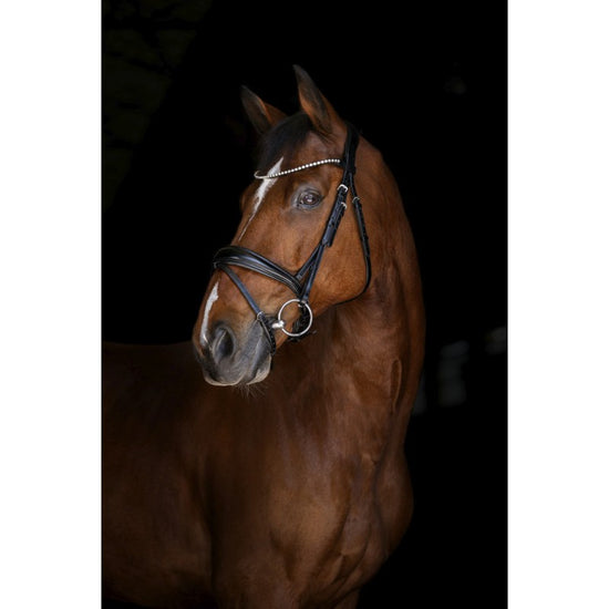 Eric Thomas Dressage Bridle