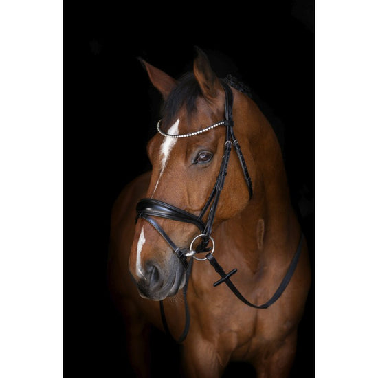 Anatomic Dressage Bridle