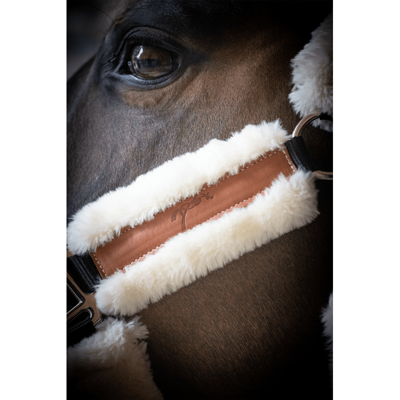 Faux sheepskin horse halter for comfortable everyday handling.