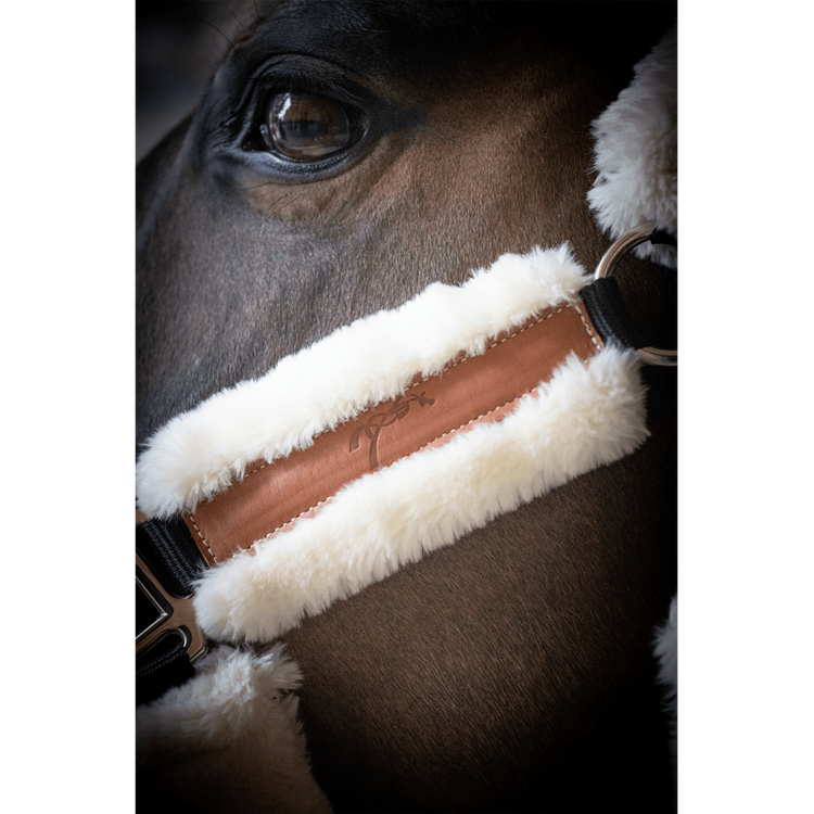 Faux sheepskin horse halter for comfortable everyday handling.