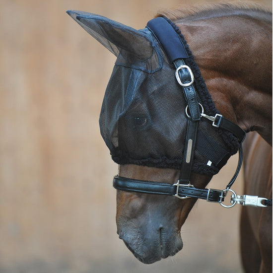 Fly Mask