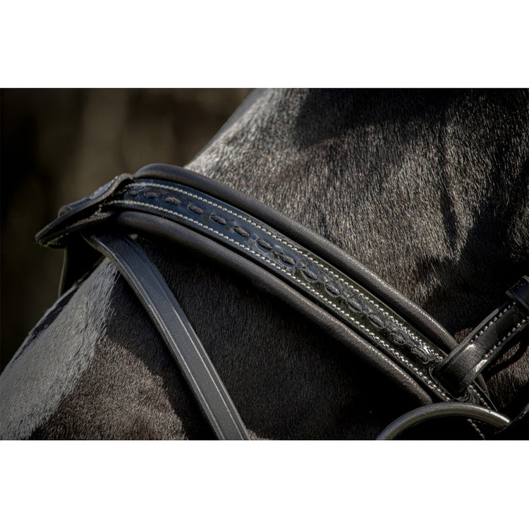 patent leather bridle