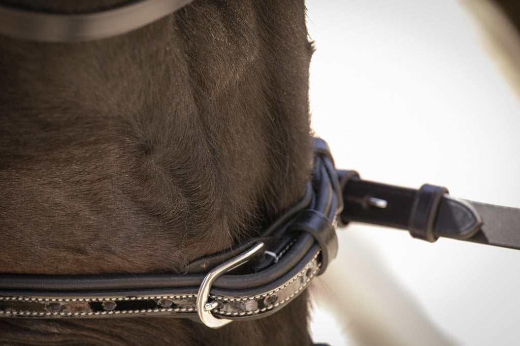 Horse bridle with wide noseband and fully removable flash attachment.