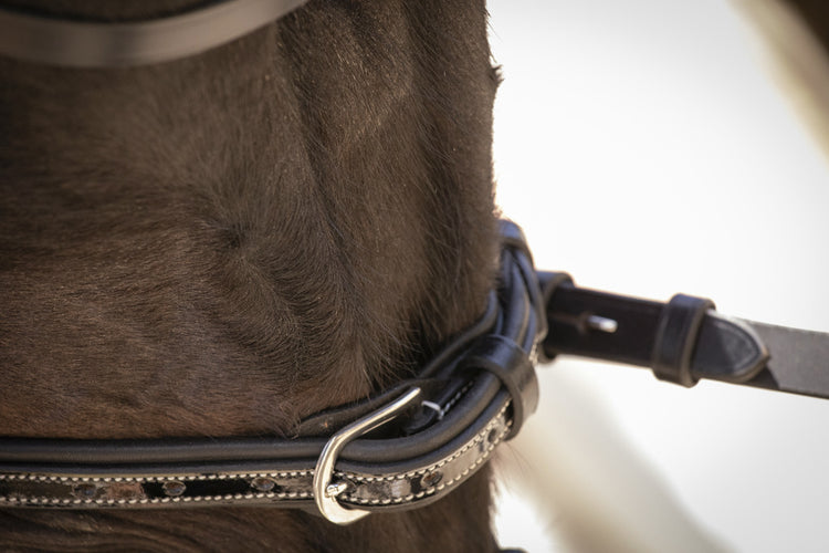 Horse bridle with wide noseband and fully removable flash attachment.