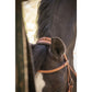 Horse bridle with wide combined noseband and soft leather padding.
