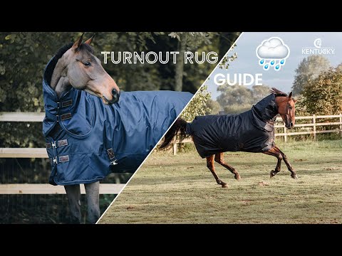 Turnout rugs for horses