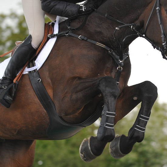 Stollengurt "SecureX