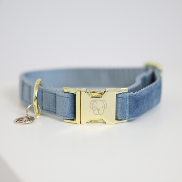 Velvet dog collar with golden details light blue