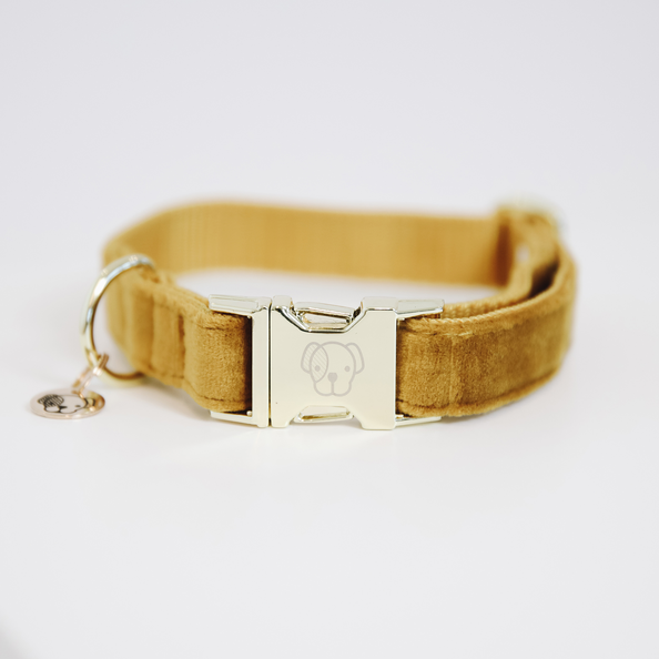 Velvet dog collar with golden details mustard yellow