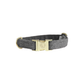 Grey dog collar with gold details