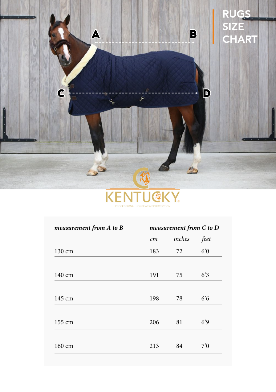 Kentucky Horse Size Guide