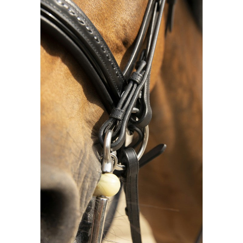 Leather double bridle for horses and dressage competition.