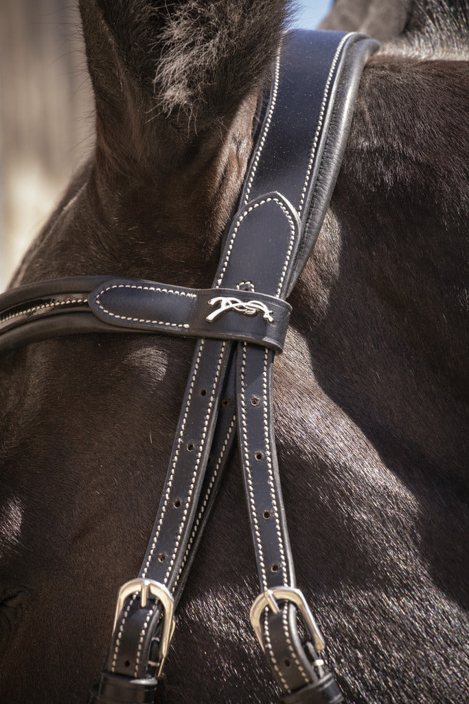 Leather horse bridle with matching reins for training and competition.