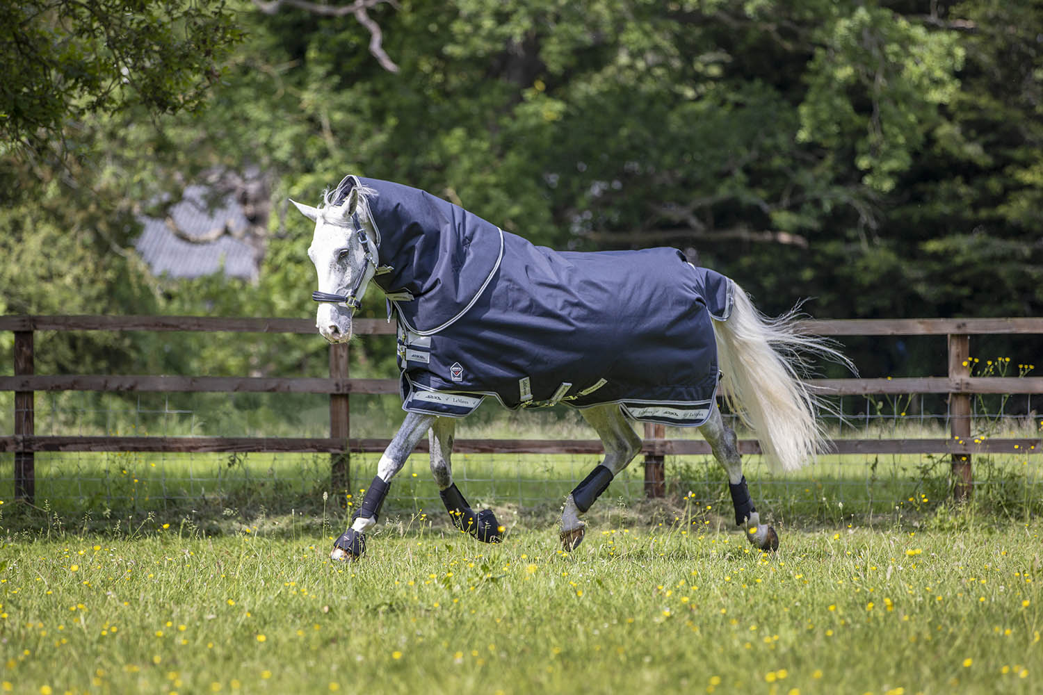Lemieux turnout rugs
