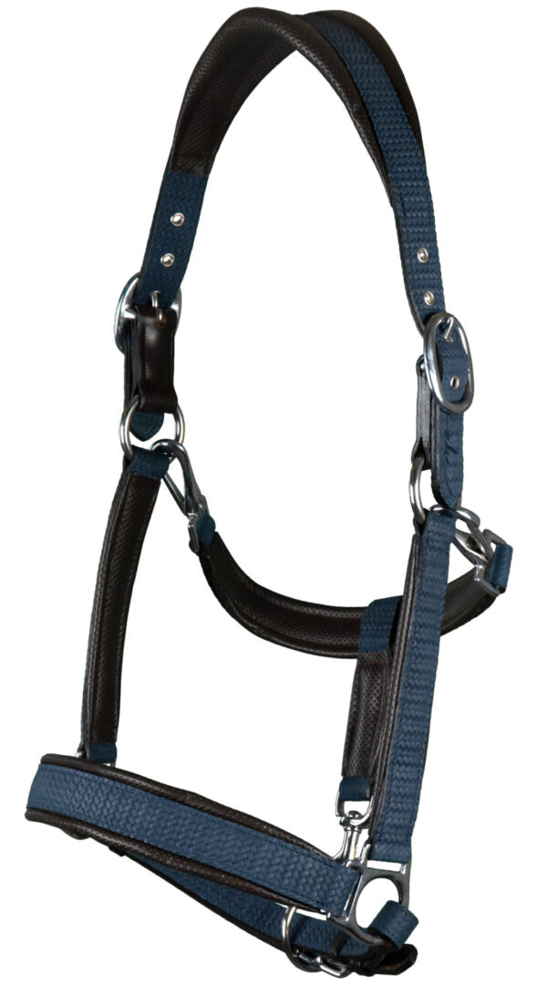 Navy leather head collar for horses