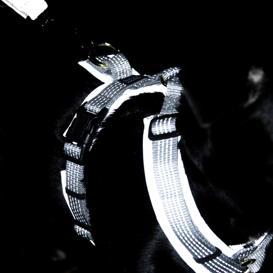 reflective dog harness with handle
