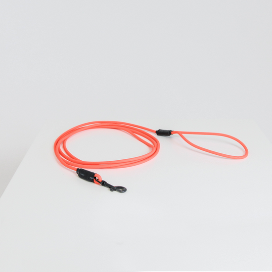 training lead rope for dogs in neon orange