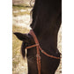 Padded leather horse bridle with elegant equestrian detailing.