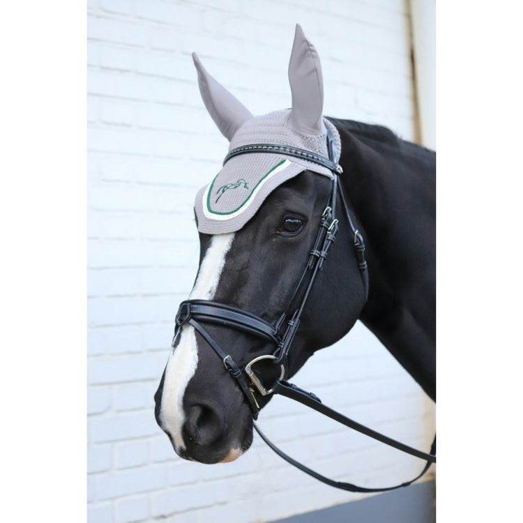 Bridle with removable flash
