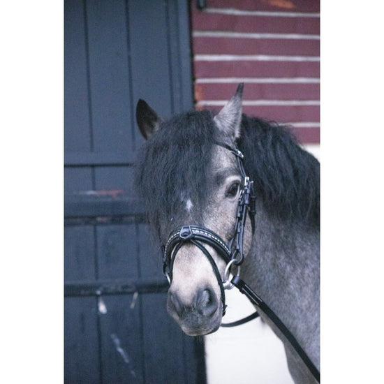 Penelope Eden Pony Bridle designed specifically for Shetlands and B/C ponies.