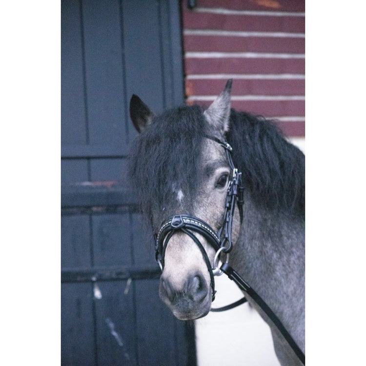 Penelope Eden Pony Bridle designed specifically for Shetlands and B/C ponies.