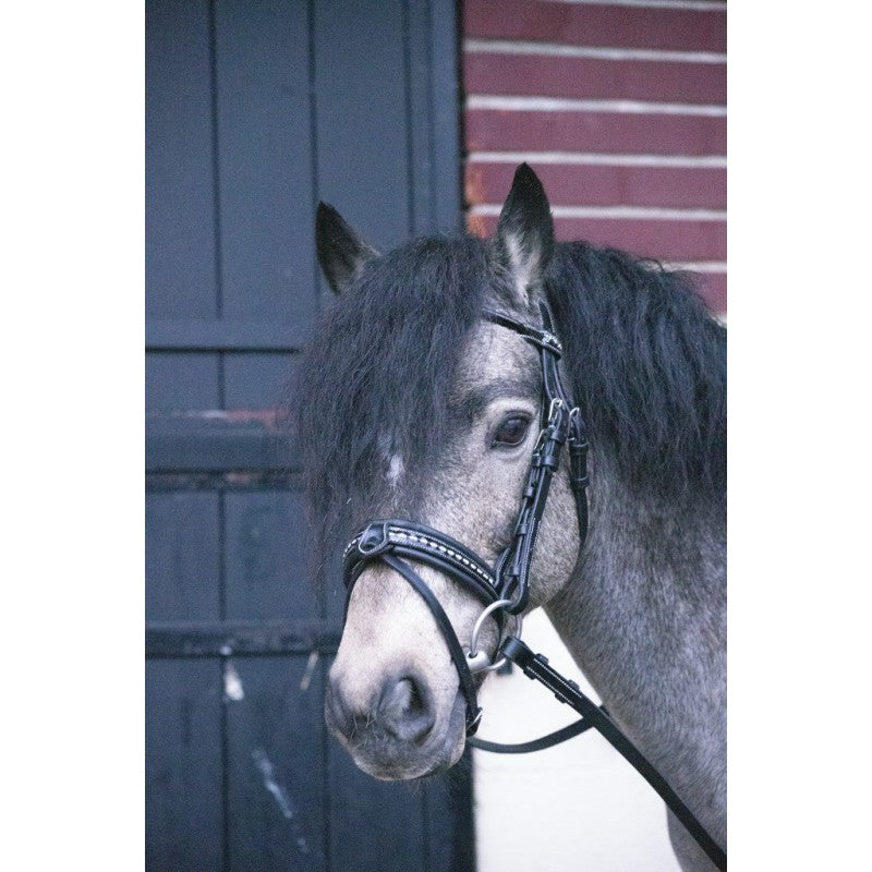 Penelope Eden Shetland bridle with round patent leather browband.