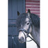 Penelope Eden Shetland bridle with round patent leather browband.