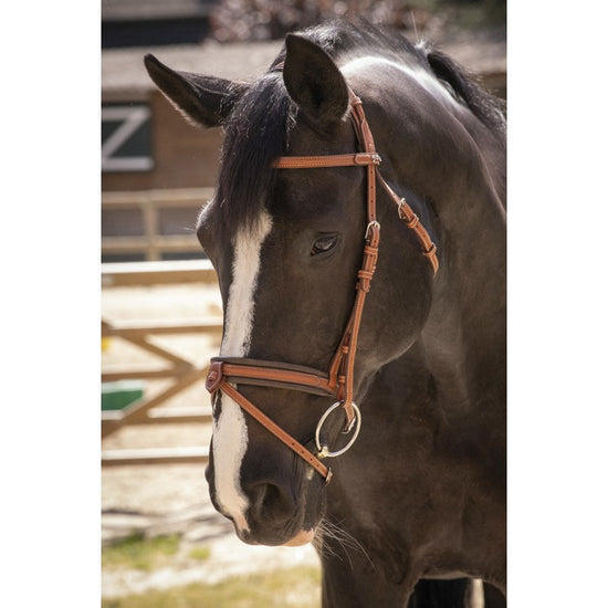 Cognac bridle