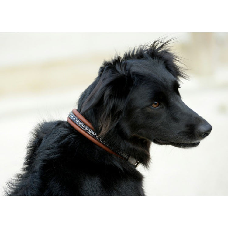 Penelope equestrian-inspired dog collar for a classic and elegant look.
