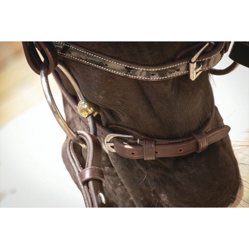 bridle with cream stitching