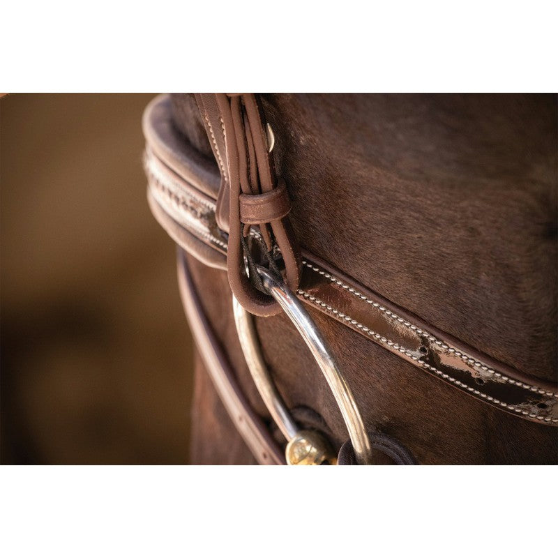bridle with reins
