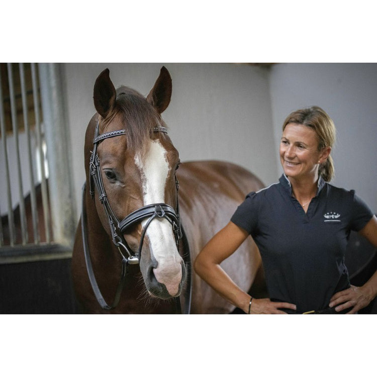 Equestrian bridle for horses during schooling and riding.