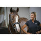 Equestrian bridle for horses during schooling and riding.