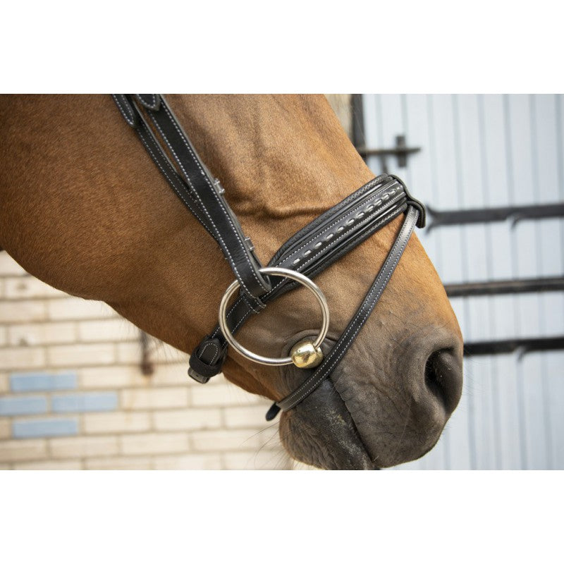 Penelope collection bridle 
