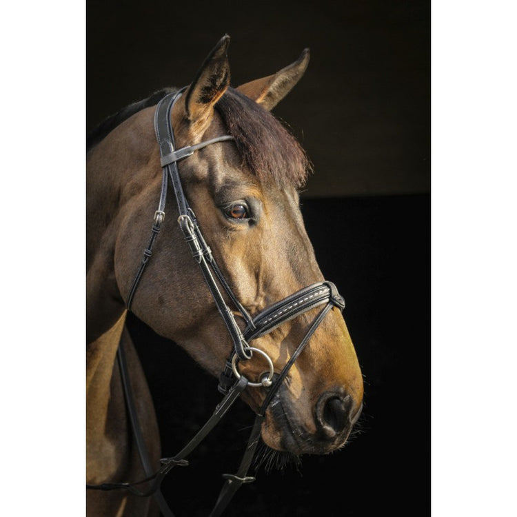 Fully removable flash strap bridle