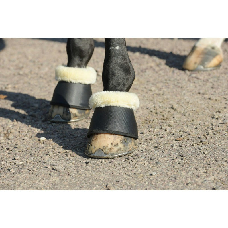 Penelope overreach boots for horses during training and everyday riding.