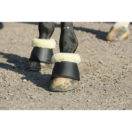 Penelope overreach boots for horses during training and everyday riding.
