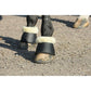 Penelope overreach boots for horses during training and everyday riding.