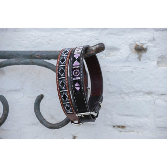equestrian dog collar