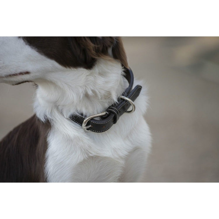 Dog Collar Pearl – EquiZone Online
