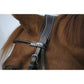 Anatomic bridle with patent leather